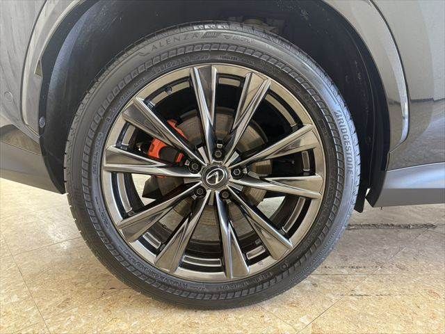 LEXUS NX450h+ AWD
