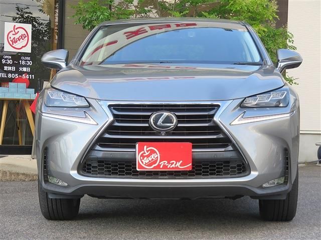 LEXUS NX200t