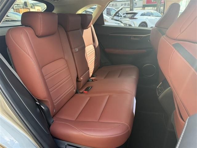 LEXUS NX200t