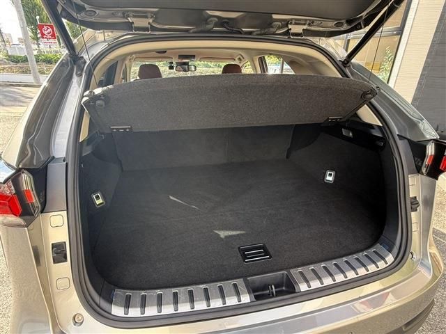 LEXUS NX200t
