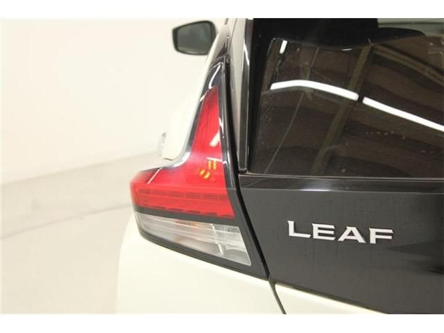 LEAF