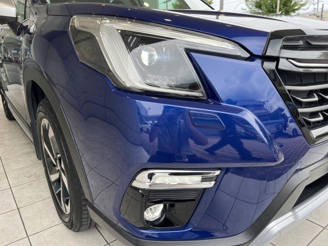 FORESTER