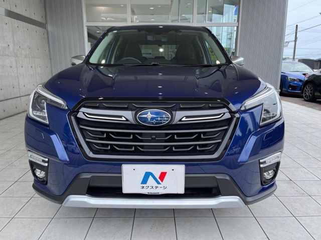 FORESTER