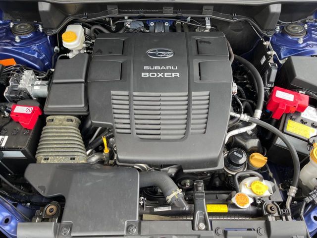 FORESTER