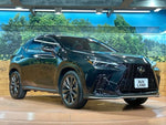 LEXUS NX350h AWD