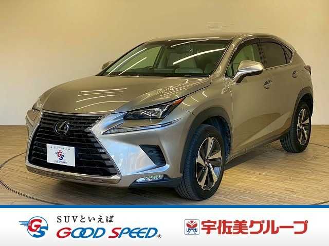 LEXUS NX300