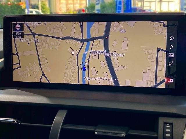 LEXUS NX300