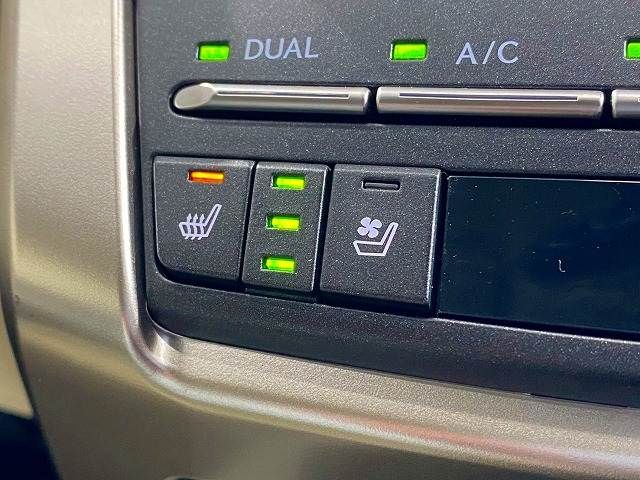 LEXUS NX300