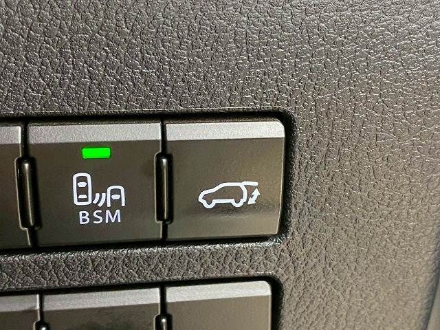 LEXUS NX300