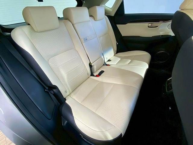 LEXUS NX300