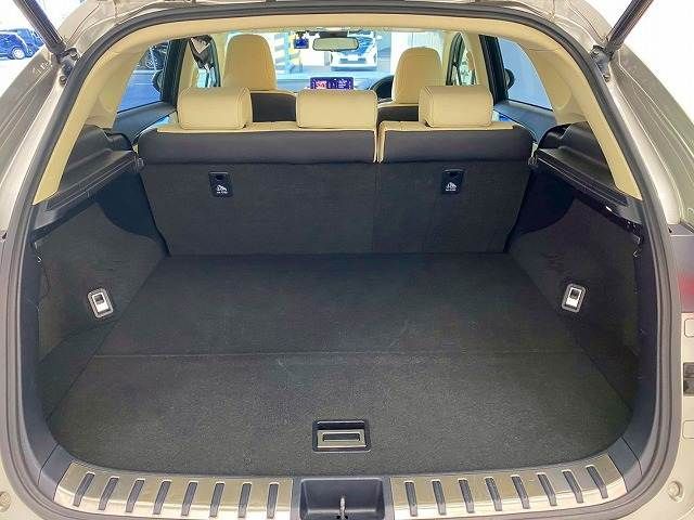 LEXUS NX300