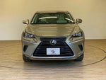 LEXUS NX300