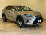LEXUS NX300
