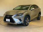 LEXUS NX300