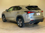 LEXUS NX300