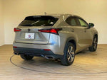 LEXUS NX300