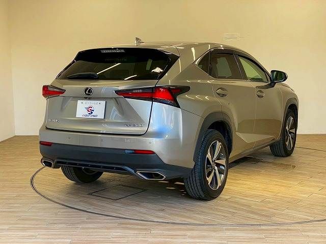 LEXUS NX300