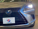 LEXUS NX300