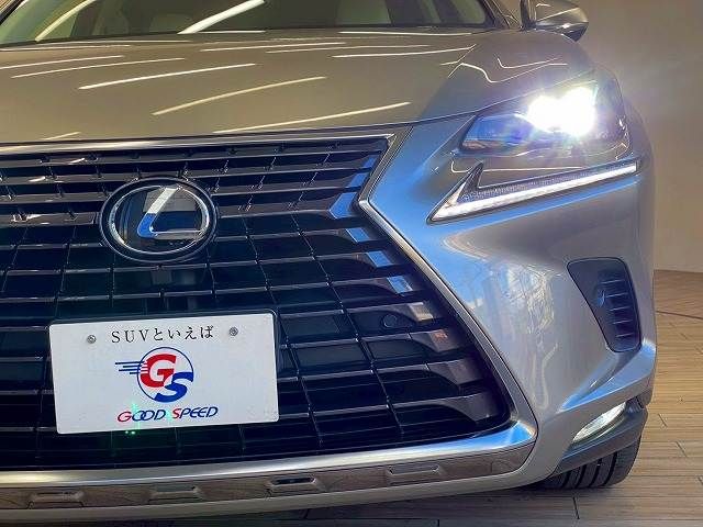 LEXUS NX300