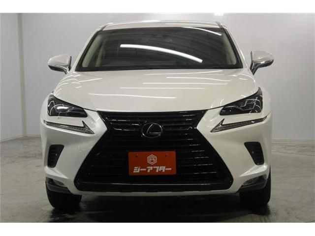 LEXUS NX300