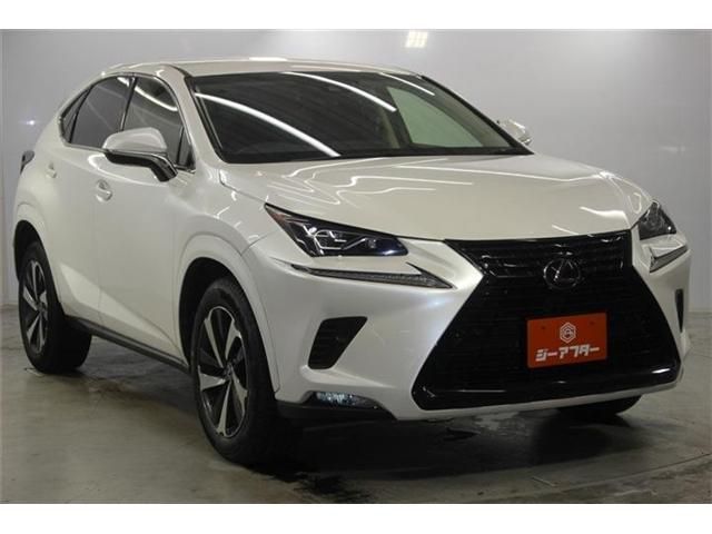 LEXUS NX300