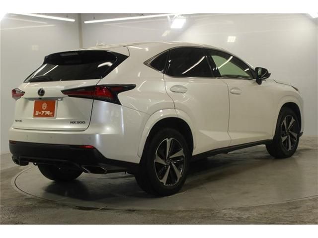 LEXUS NX300