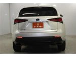 LEXUS NX300