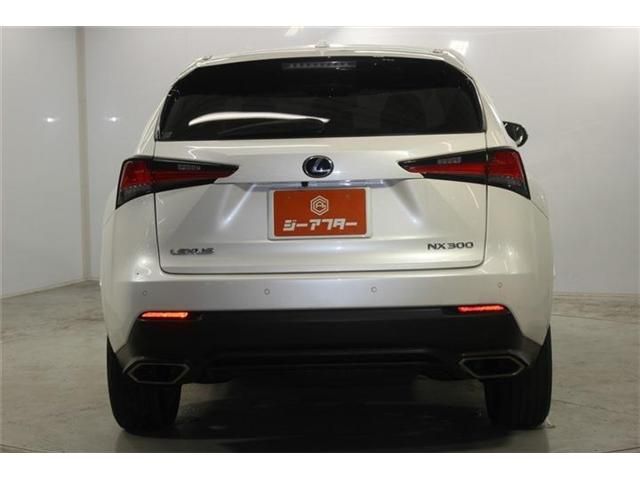 LEXUS NX300