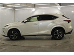 LEXUS NX300