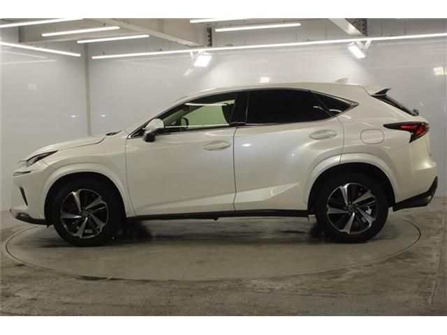 LEXUS NX300
