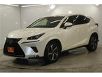 LEXUS NX300