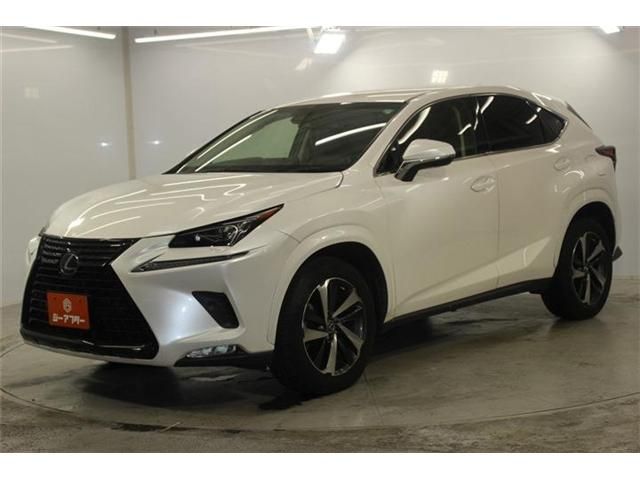 LEXUS NX300