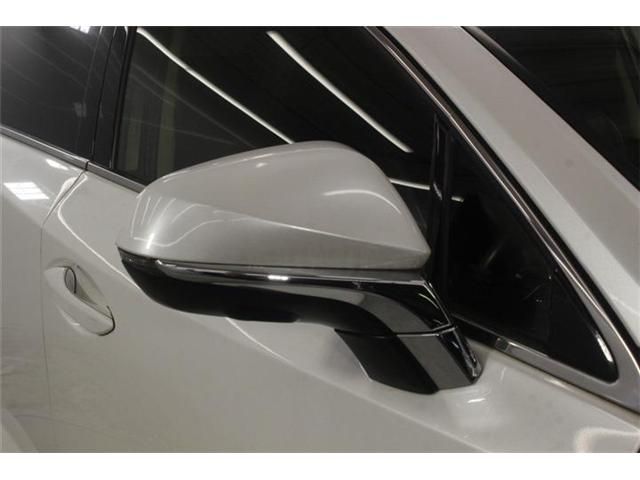 LEXUS NX300