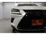 LEXUS NX300