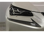 LEXUS NX300