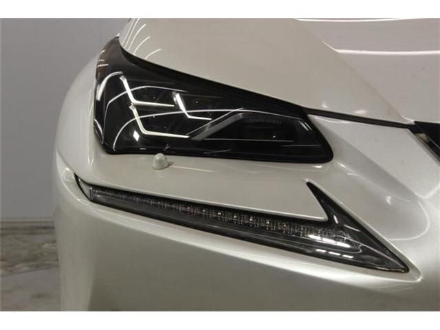 LEXUS NX300