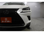 LEXUS NX300