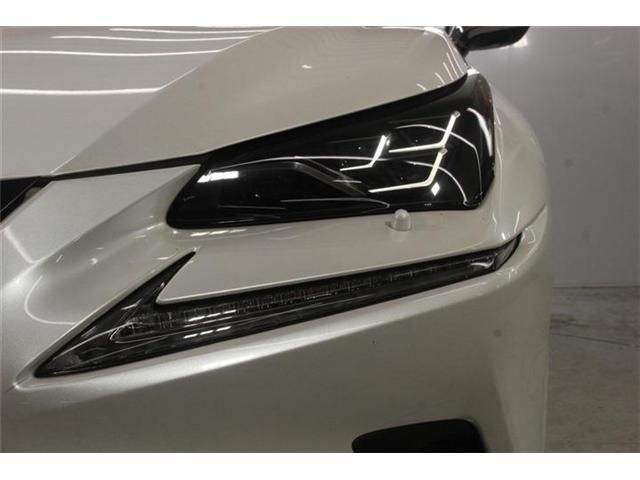 LEXUS NX300