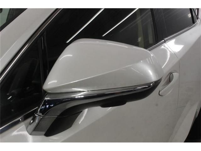 LEXUS NX300