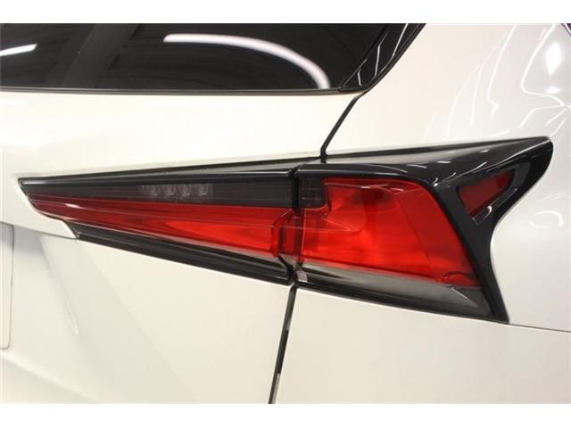 LEXUS NX300