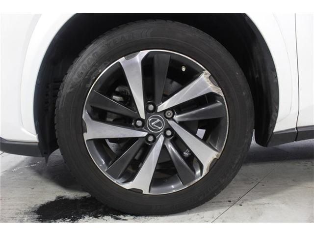 LEXUS NX300