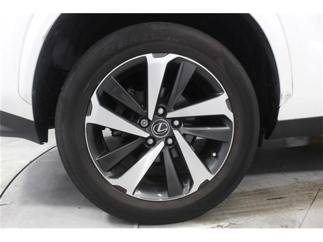 LEXUS NX300