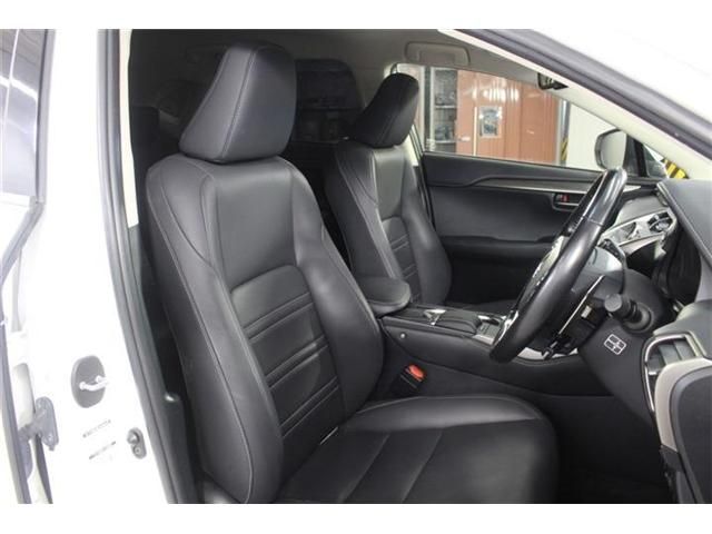 LEXUS NX300