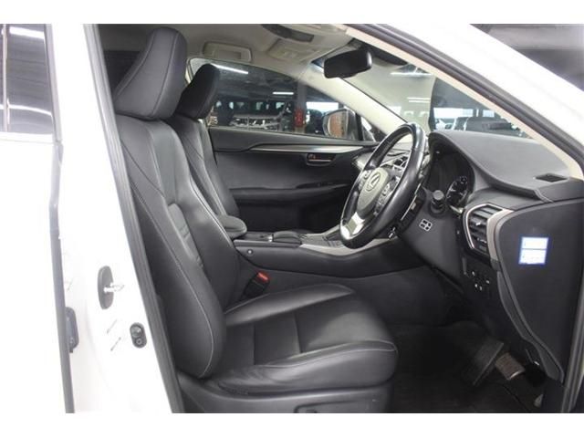 LEXUS NX300