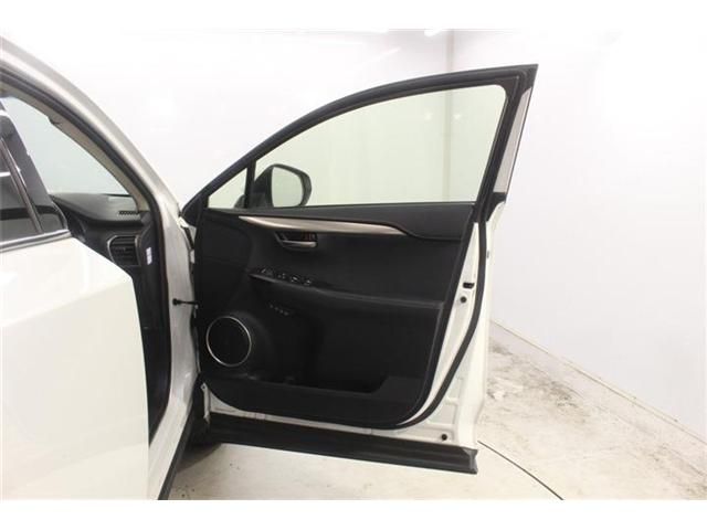 LEXUS NX300
