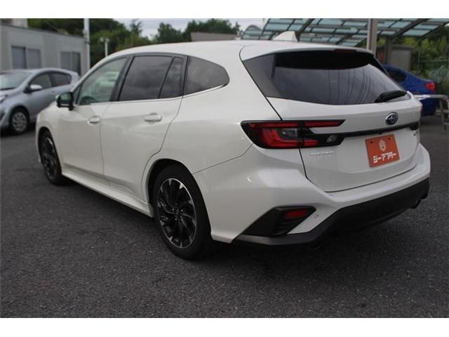 LEVORG