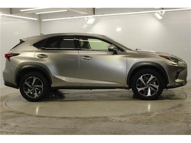 LEXUS NX300h