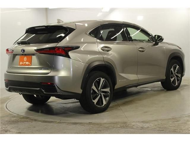 LEXUS NX300h