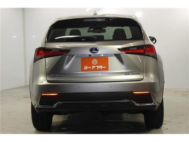 LEXUS NX300h