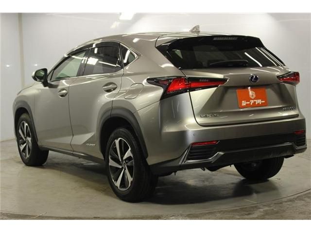 LEXUS NX300h